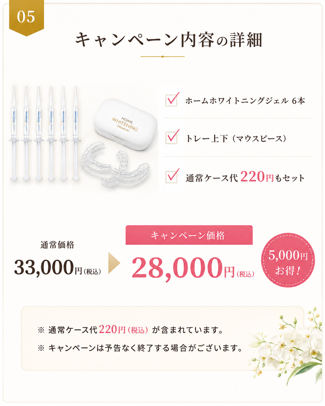 キャンペーン内容の詳細。ホームホワイトニングジェル6本、トレー上下、通常ケース代220円もセット。